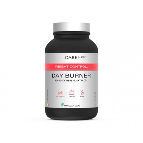 DAY BURNER WEIGHT CONTROL